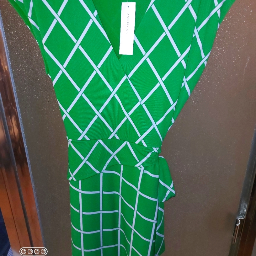 Ann Taylor 8Kelly Green